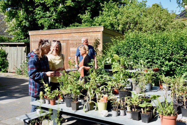 plantenmarkt
