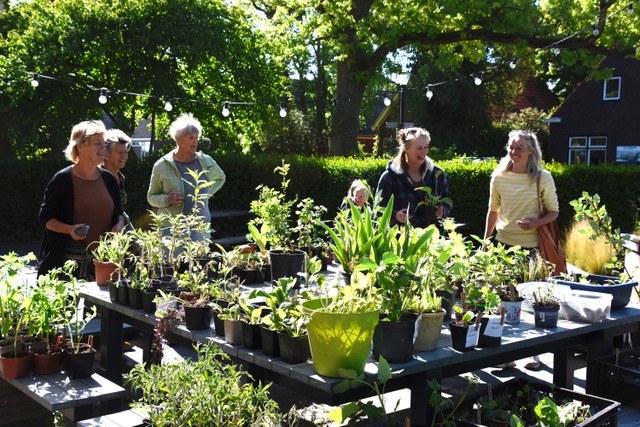 2025-06_plantenruilmarkt-17-mei